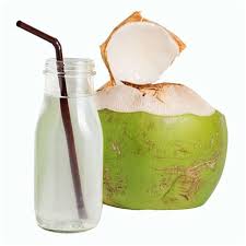 coconut